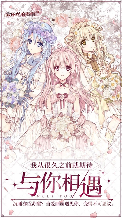 爱丽丝的衣橱国际服免费版