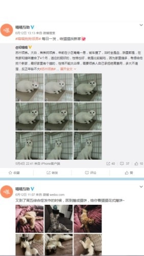 喵喵互助安卓官方版图4