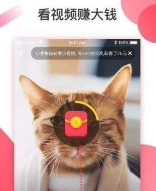 抖淘短视频手机最新版图1
