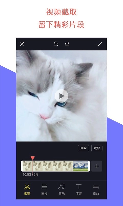 石虎牛播手机正版图2