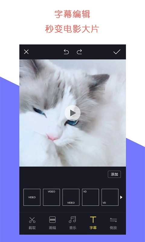 石虎牛播手机正版图4