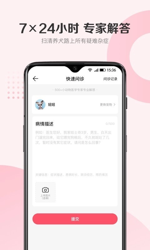 68宠物图2