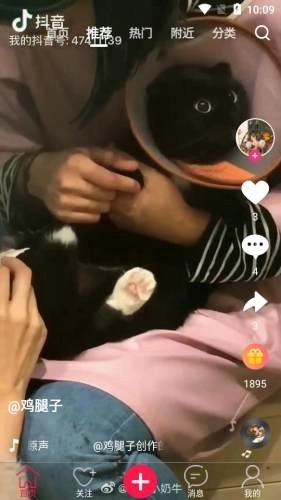 中企视频正版图3
