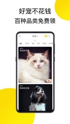 共宠安卓免费版图3