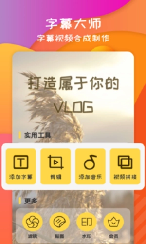 字幕大师安卓直装版图2