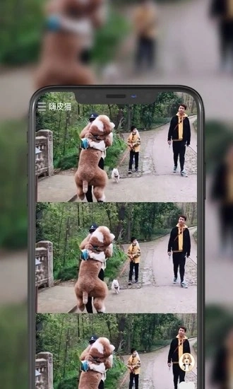 嗨皮猫短视频官方版图1