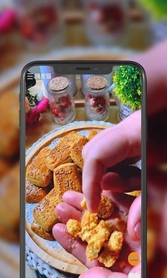 嗨皮猫短视频官方版图2
