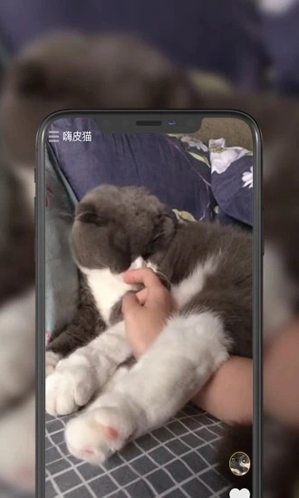 嗨皮猫短视频官方版图4