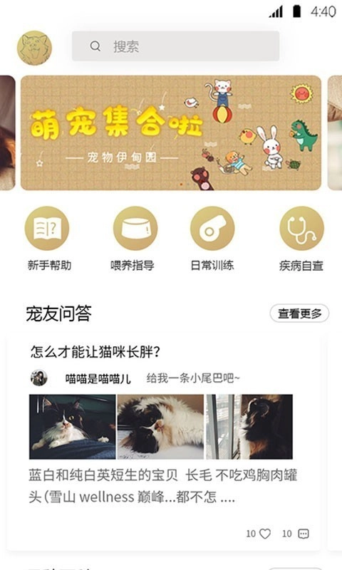 宠物伊甸园手机免费版图1