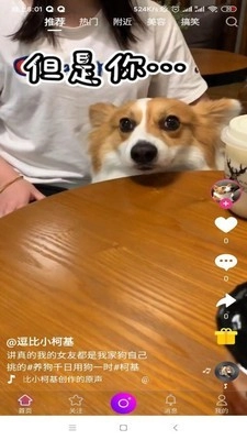 宠物秀秀直装版图1