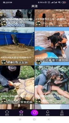 宠物秀秀直装版图2