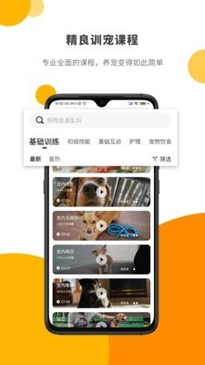 Paw Lab手机正版图1