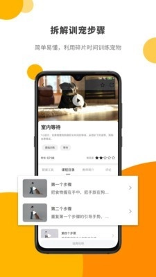 Paw Lab手机正版图2