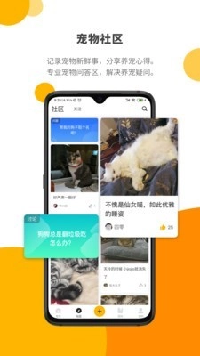 Paw Lab手机正版图3