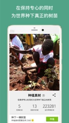 Forest最新版图1