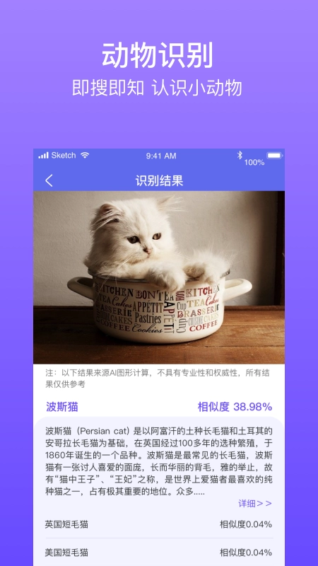 拍拍识图识字免费版图2
