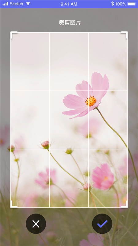 拍拍识图识字免费版图3