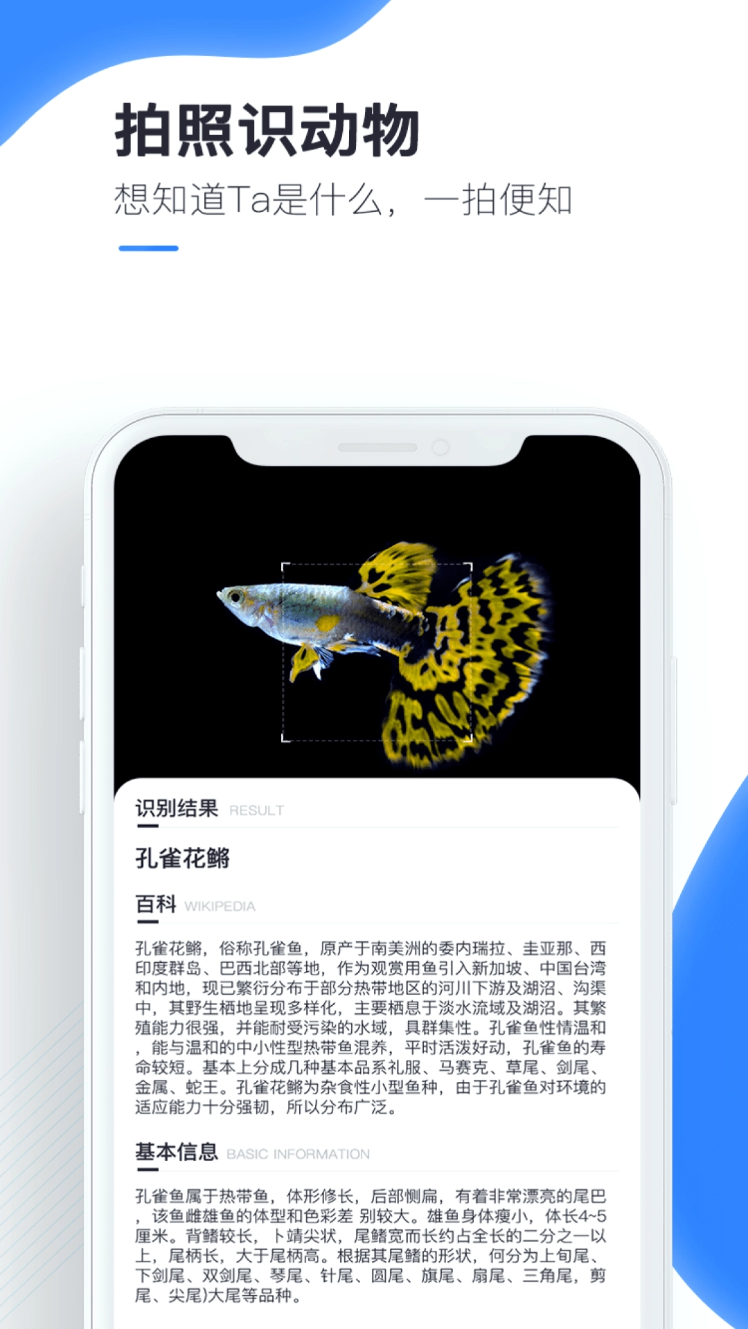 百科扫描王通用版图3