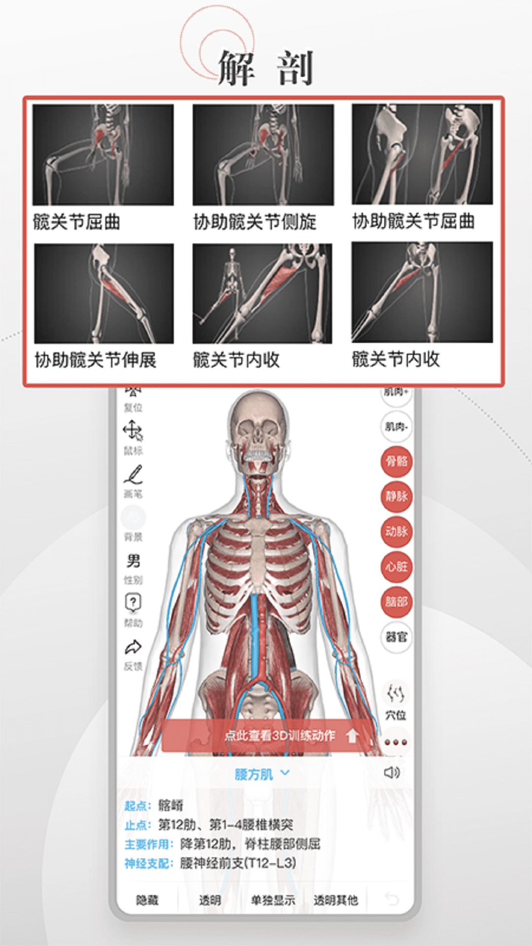 3D运动健康官方最新版图2