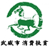 武威消费扶贫安卓直装版