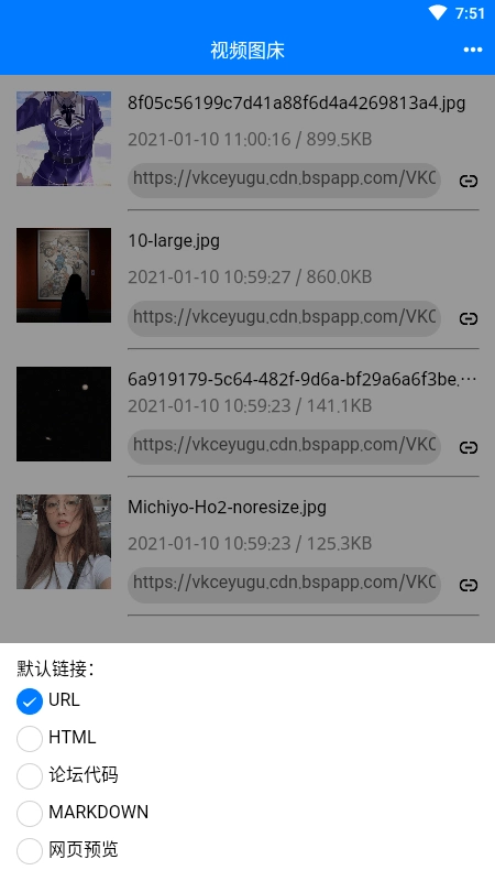 视频图床原版图2