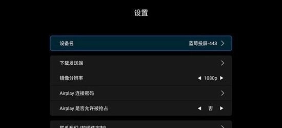 蓝莓投屏官方版下载