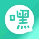 街小嘿安卓直装版