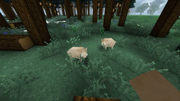 生存战争6游戏完整版图2