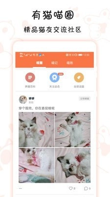 领喵正版图2