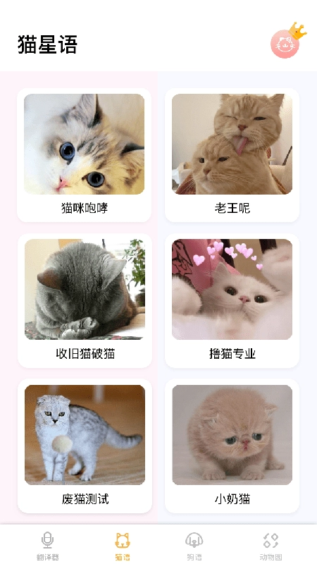 猫语翻译大师手机最新版图1