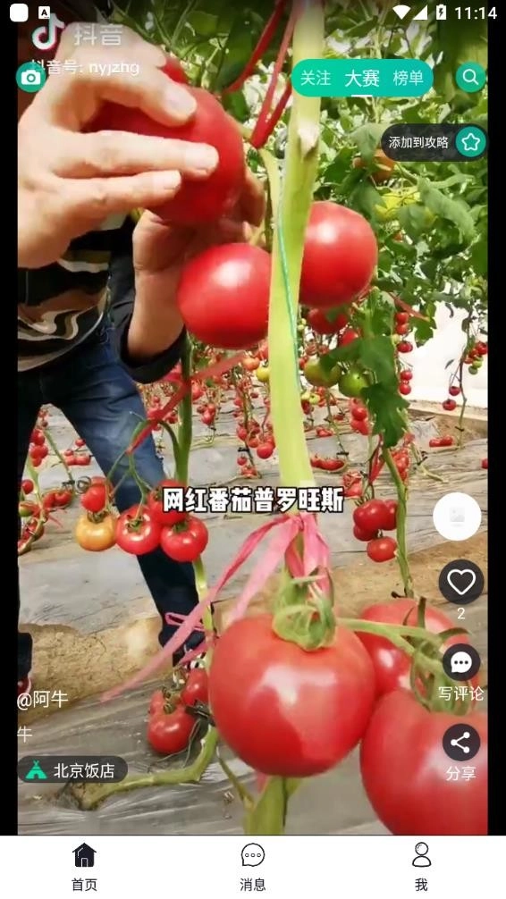 彼方短视频无广告版图3