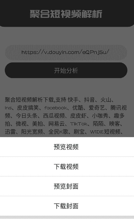 聚合解析手机正版图1