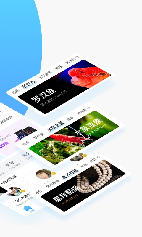 龙巅鱼邻直装版图2