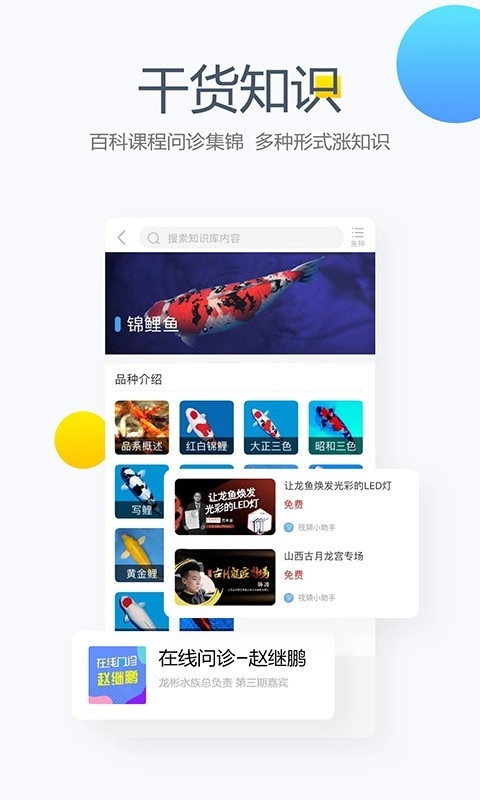 龙巅鱼邻直装版图3