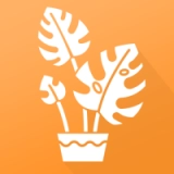 植物品鉴手机免费版