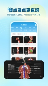 维萨里3d解剖手机免费版图3
