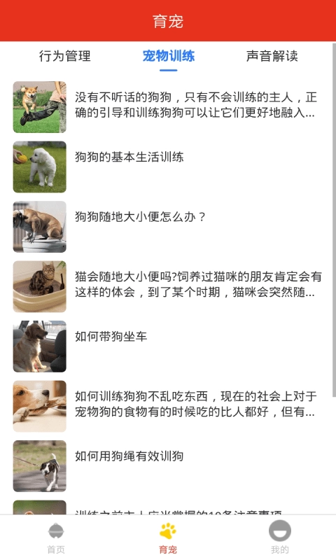 萌宠宠物之家手机免费版图2