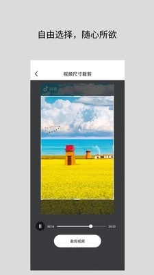 道简视频组件工具安卓官方版图2