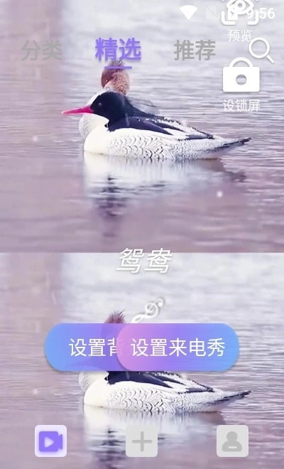 视频铃声来电秀官方正版图3
