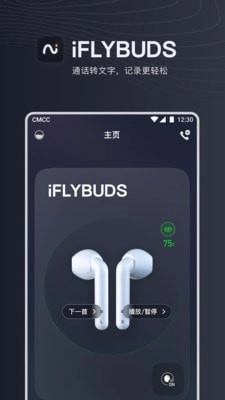 iFLYBUDS正版图1