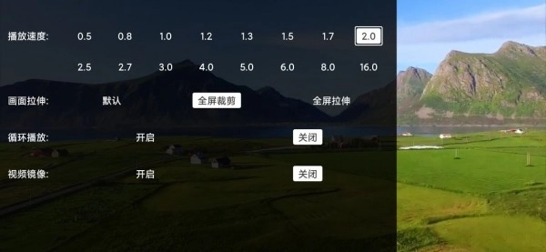 Alook DLNA投屏手机最新版图3