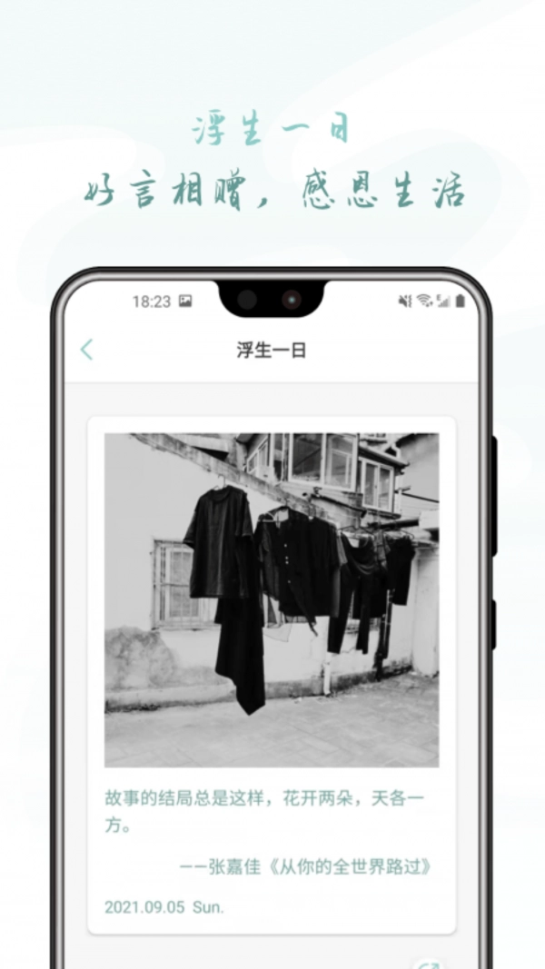 浮生微录安卓直装版图1