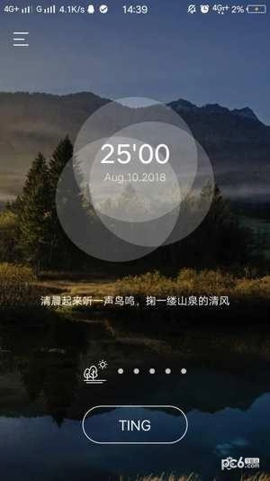 TING正版图1
