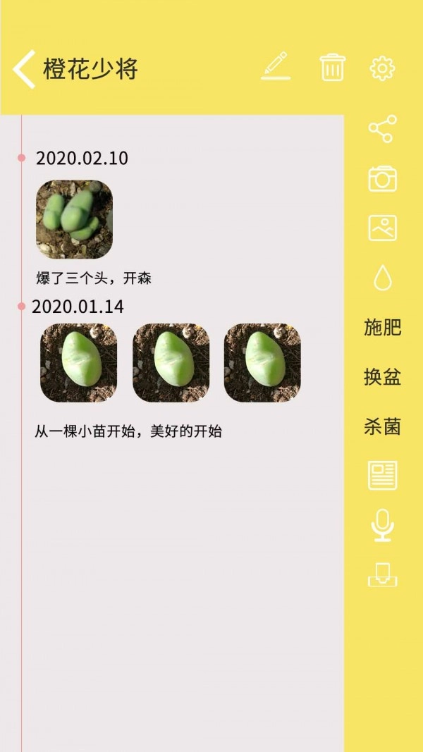 多肉花草日记无广告版图1