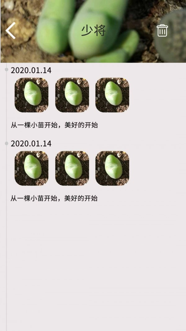 多肉花草日记无广告版图4