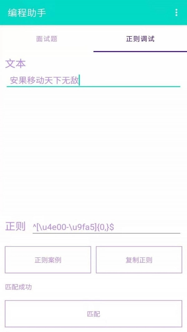 安果编程助手截图3