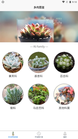 多肉植物陪护记手机版图2