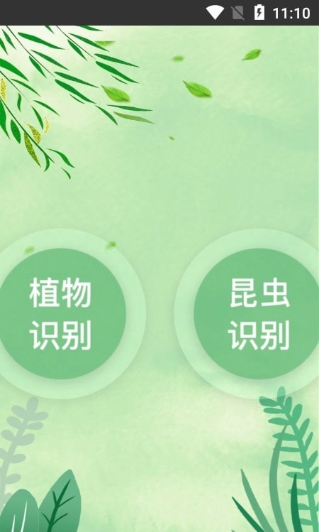 一叶识木安卓免费版图1