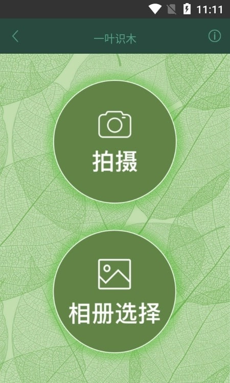 一叶识木安卓免费版图2