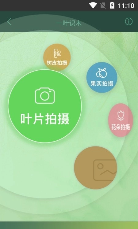 一叶识木安卓免费版图3